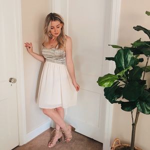Metallic and Nude Skater Dress / Fit and Flare